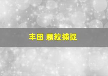 丰田 颗粒捕捉